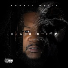 Bunkie White - Another Lifestyle Ft. Plies And Lil Boosie