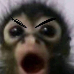 Nghii Ng