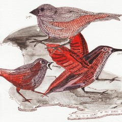 RADIO REVERSAL COLLECTIVE: RADICAL AUDIO ARCHIVE