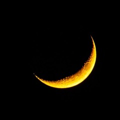 موسیقی برای رهایی