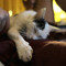 kiska_chill