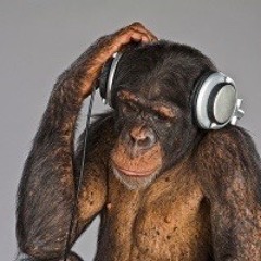 MONKEY DNB