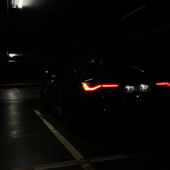 xing_yolo