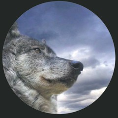 LeoGalaxy aka LeoWulf