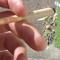 Deet