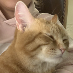 Winnie