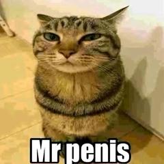 Mr penis
