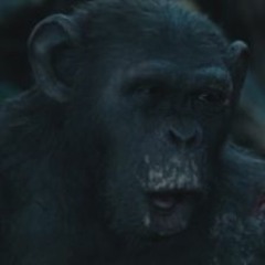 monke
