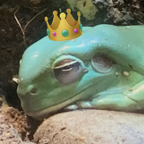 The Ghost Experience (& others)