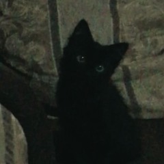 ̶̷̶¢̶̷̶×̶̷̶