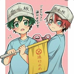 baby todoroki