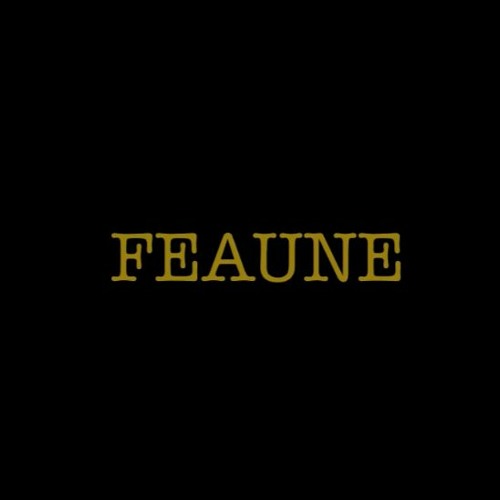 FEAUNE’s avatar