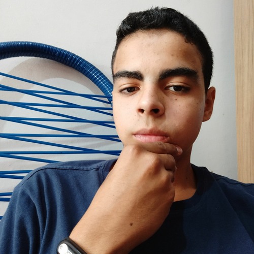 Vinicius Do Nascimento’s avatar