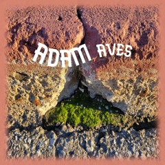 Adam Aves