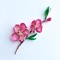 Rayoma_771098