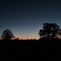Untitled8