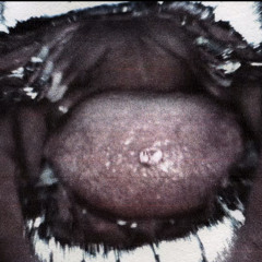 ♱