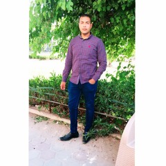 Mohamed Almasry