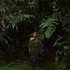 Aron Berlin (KanzleiData)