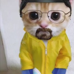Johan