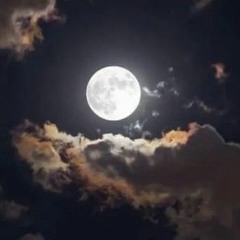 ساره