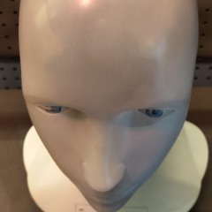 EddyEdsenBahnenFetzen