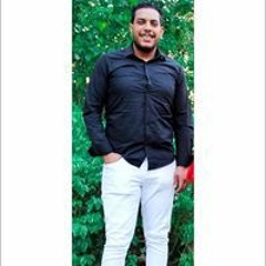 Mostafa Ali