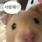 ㅡ
