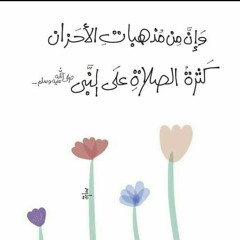 Mostafa Yasser Kedr