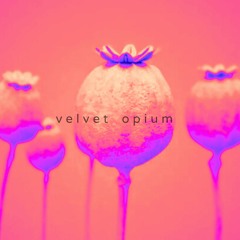 Velvet Opium