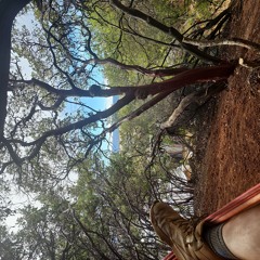 Mt. Mike