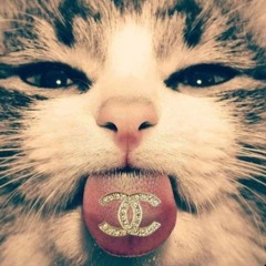 𝖁𝖎𝖑 𝖙𝖆𝖓𝖉𝖔