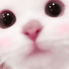pawsleak( ˶ˆᗜˆ˵ )