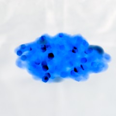 preksha155