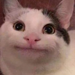 𝕾𝖈𝖆𝖙𝖙𝖊𝖗𝖘𝖍𝖔𝖙