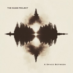 The Numb Project
