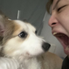 ㅏㅇ인