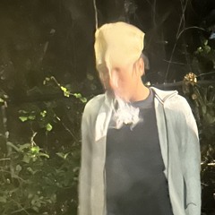z0n1
