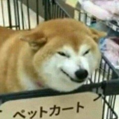 Rinkachi-San owo