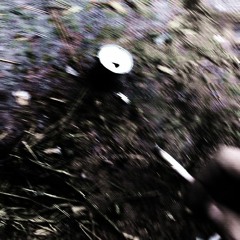 L0WL1F3.