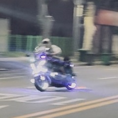 포kㅏ리