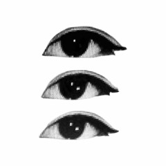 ◦◦,`°.✽