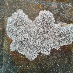 West Calderdale: Lore and Legends