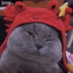 Đình Hòa