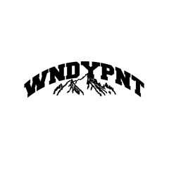 wndypnt