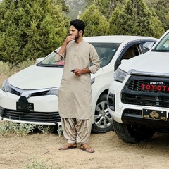 ملک زیشان مینگل