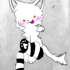 PIPBOMBCAT~🧨