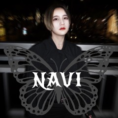 NAVI