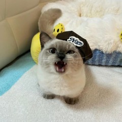 Shortcut BINNED by xiaojie