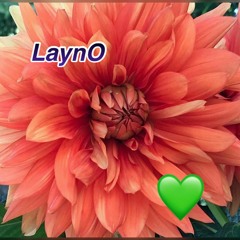 laynO❤